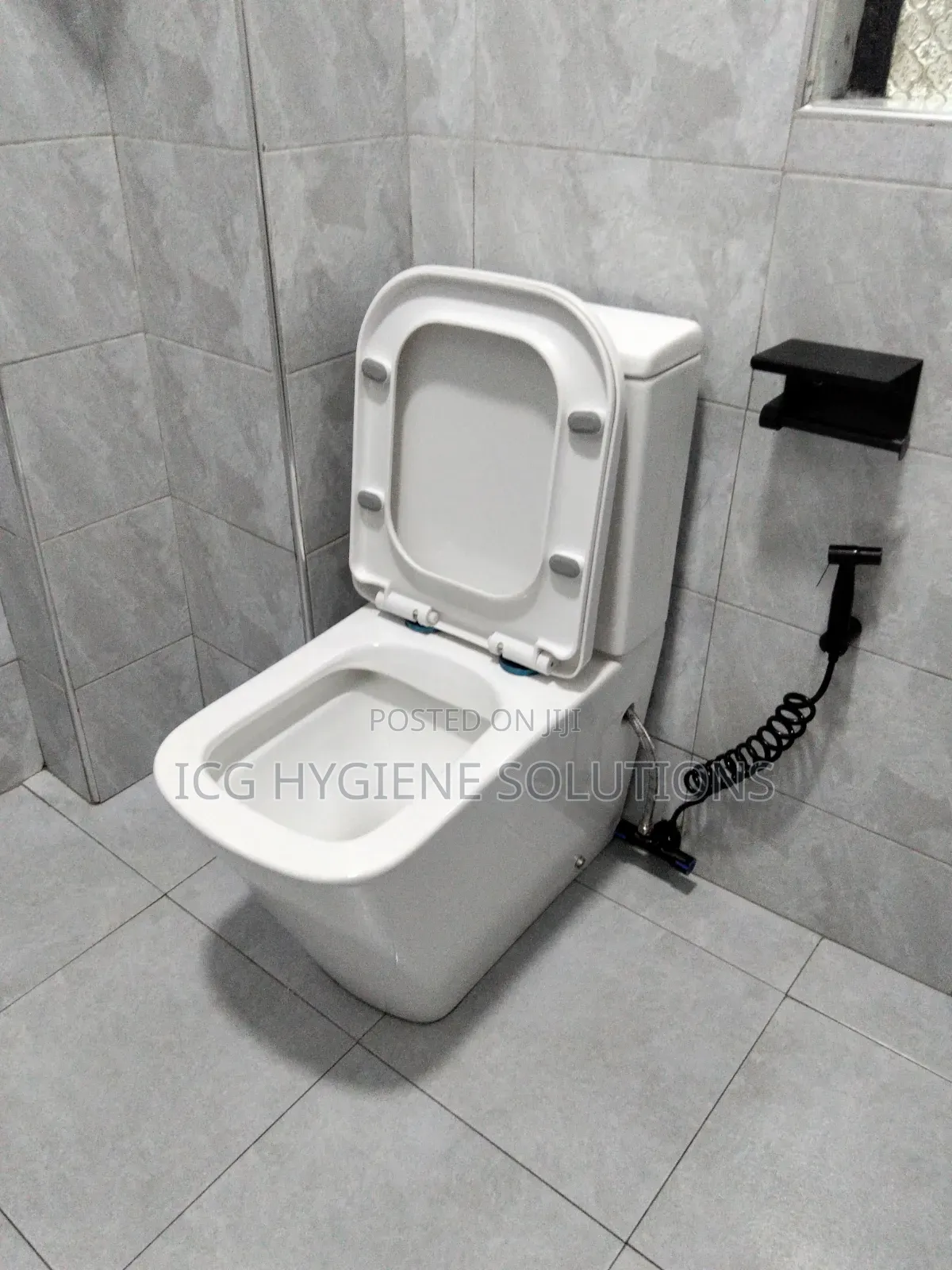 Toilet Deep Cleaning