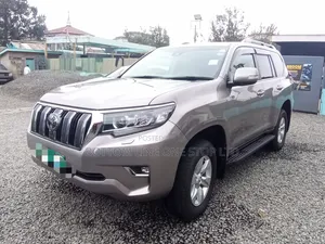 Toyota Land Cruiser Prado 2020 Brown