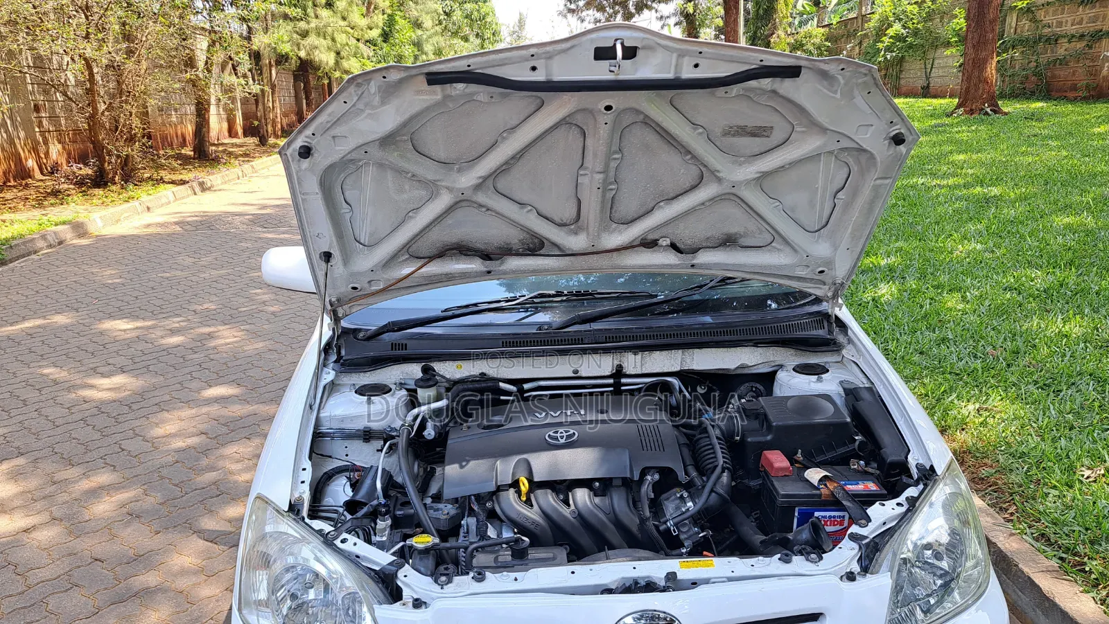 Toyota Corolla RunX 2006 White