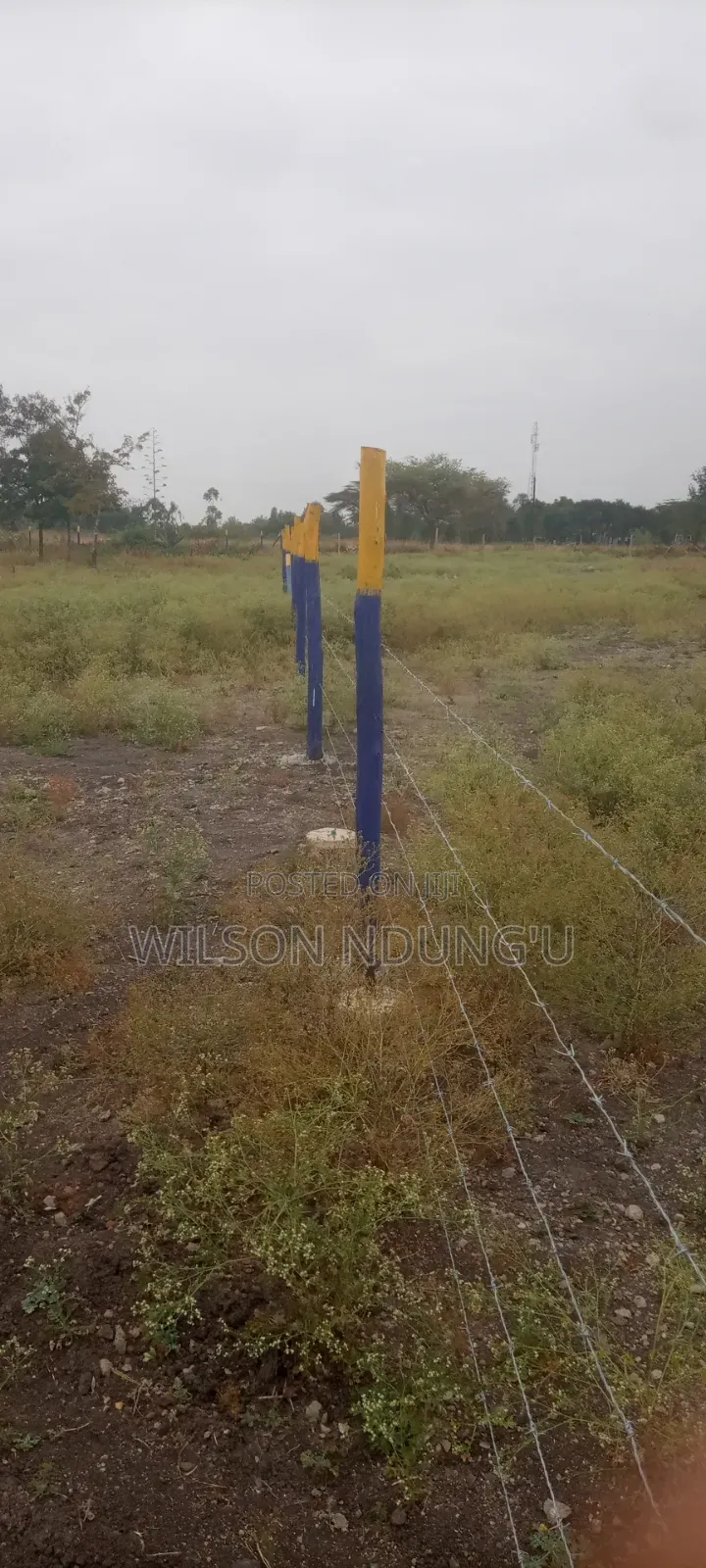Prime Plots for Sale