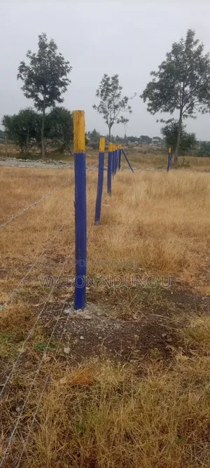 Prime Plots for Sale