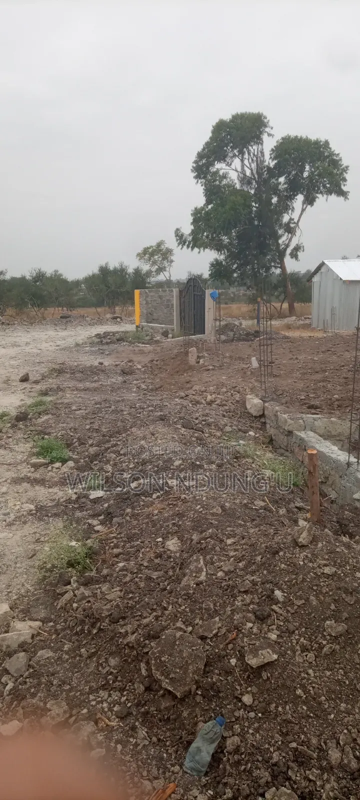 Prime Plots for Sale