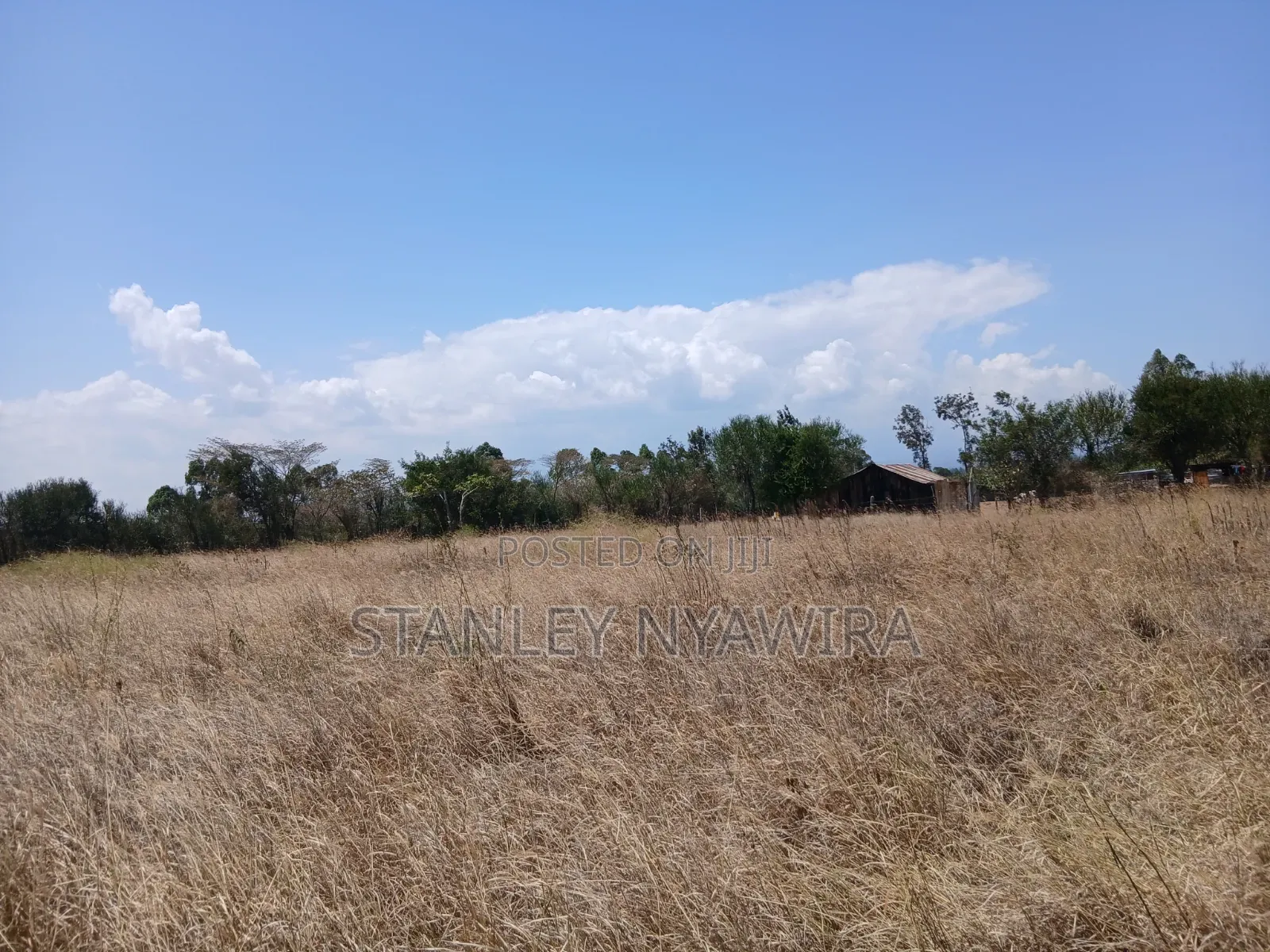 2 Acreas Nanyuki Burgret