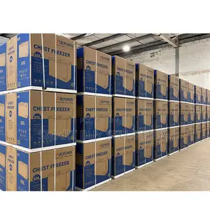 Energy-Saving Premium 60L,90L,119L,150L,200L Chest Deep Freezers