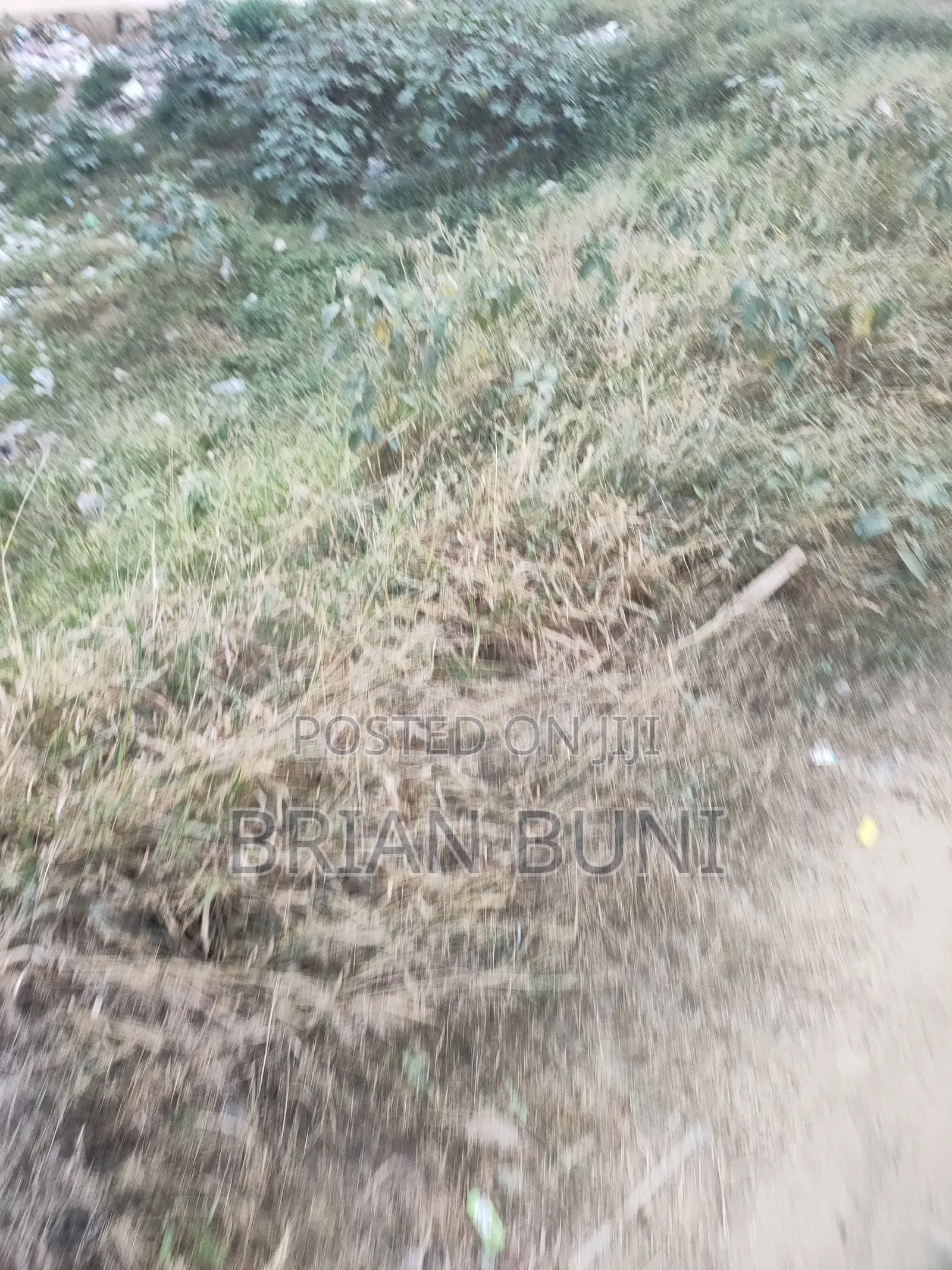 Plot for Sale