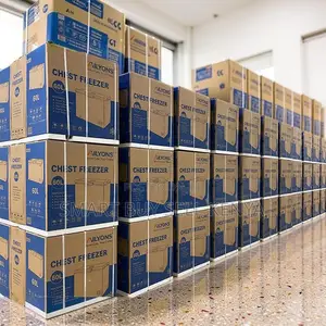 Durable Construction 60L,90L,119L,150L,200L Chest Deep Freezers