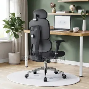 Office Chairs; Orthopedic High Back Office Chair With Elegant Height