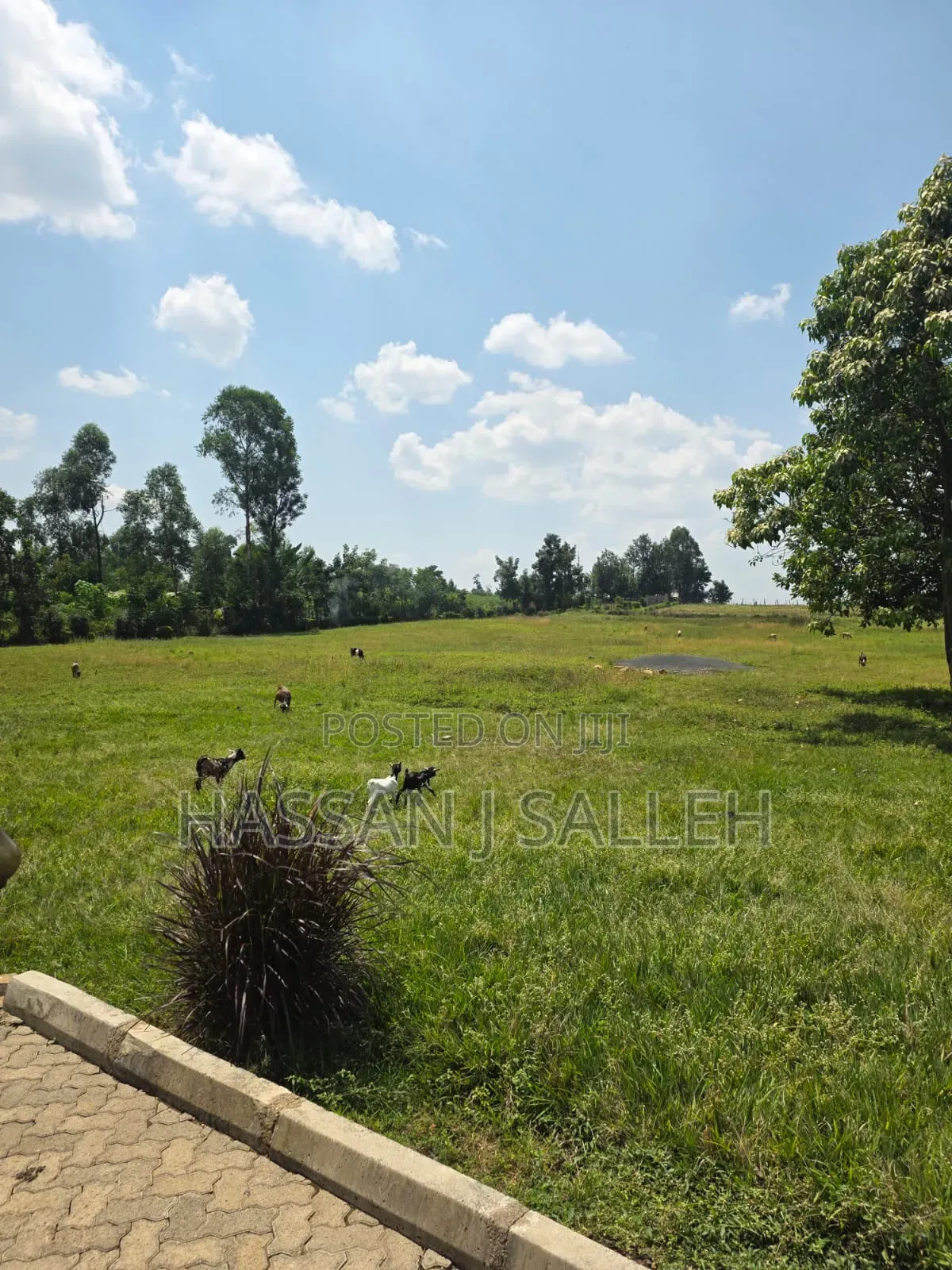 5acres Matungu 4 Sale