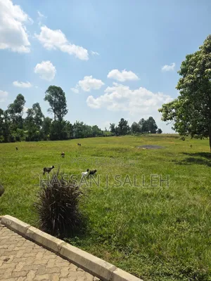 5acres Matungu 4 Sale