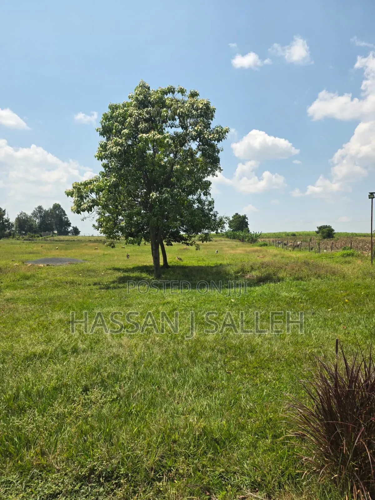 5acres Matungu 4 Sale
