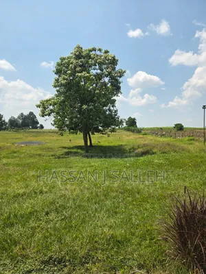 5acres Matungu 4 Sale