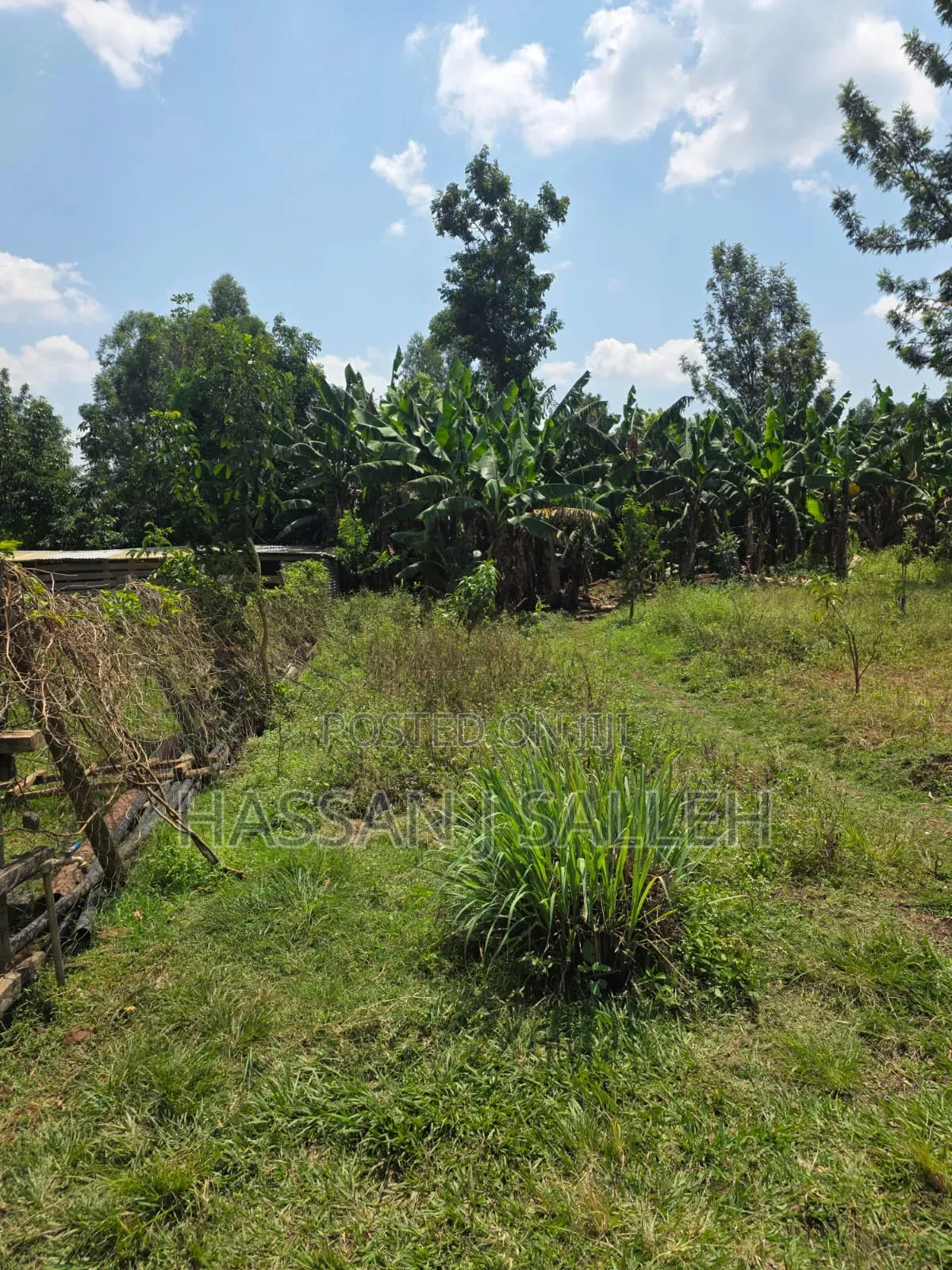 5acres Matungu 4 Sale