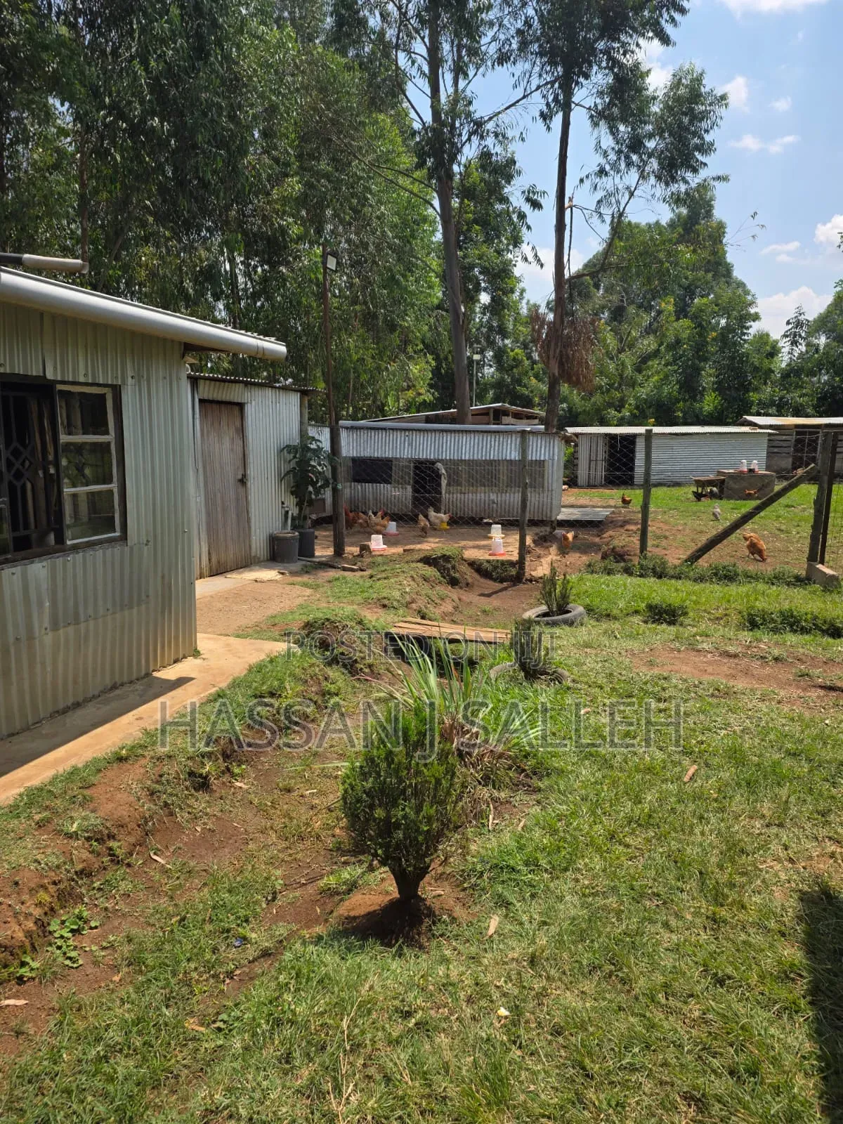 5acres Matungu 4 Sale