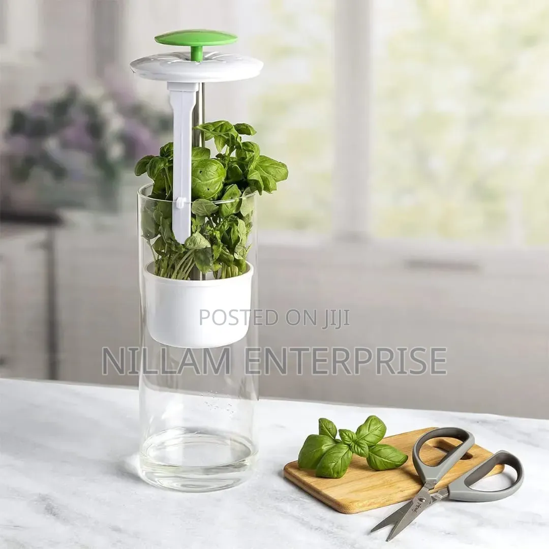 BPA Free Refrigerator Herb/ Vegetable Saver