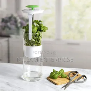 BPA Free Refrigerator Herb/ Vegetable Saver