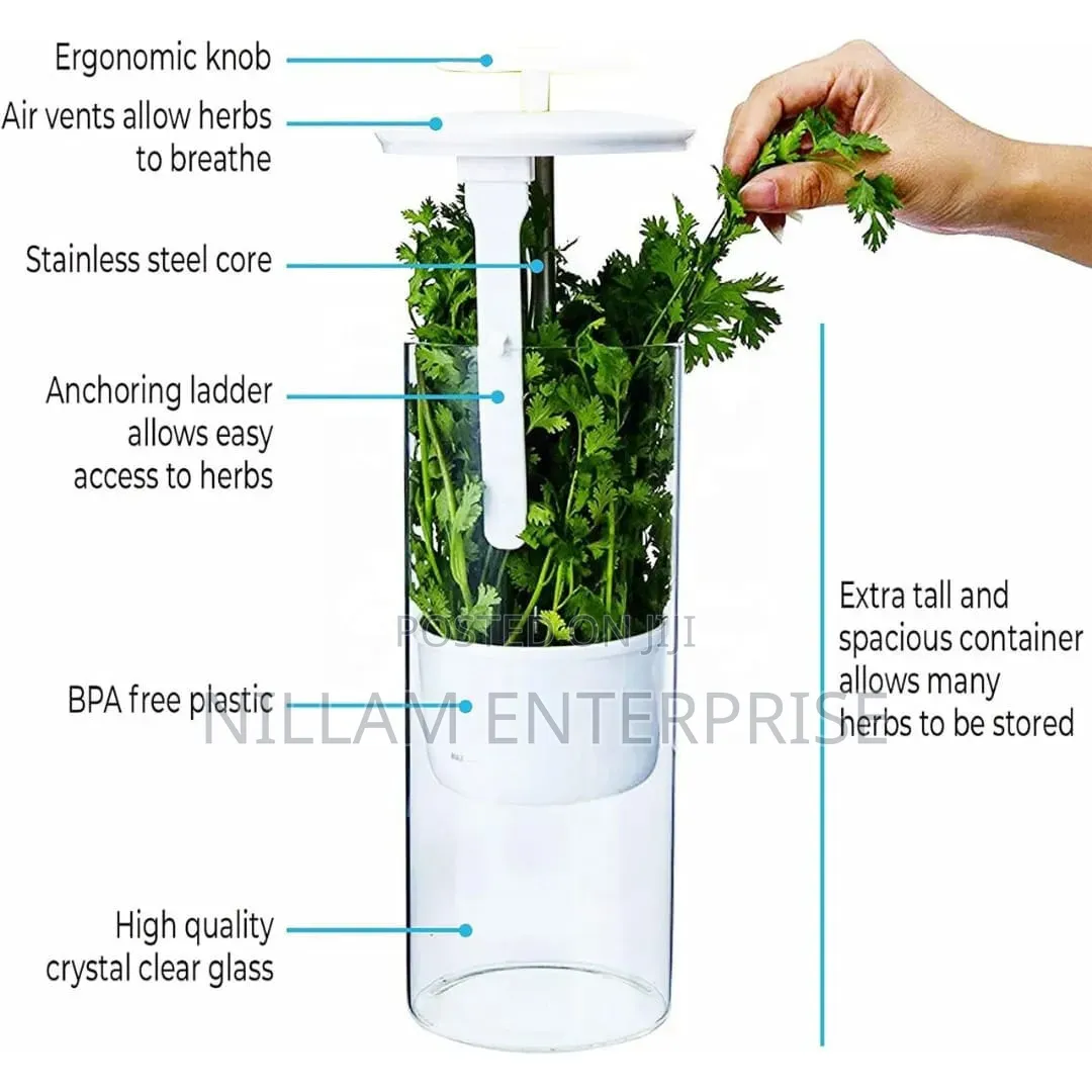 BPA Free Refrigerator Herb/ Vegetable Saver