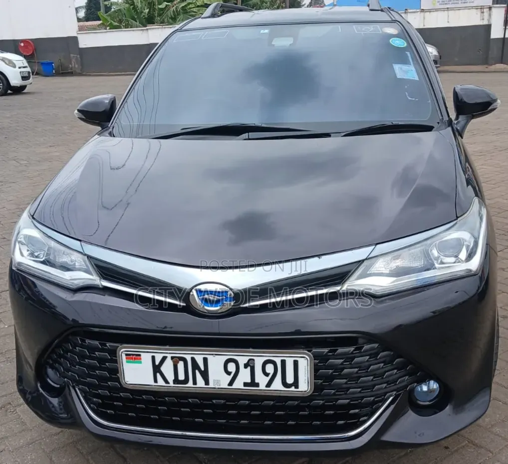 Toyota Corolla Fielder 2016 Black