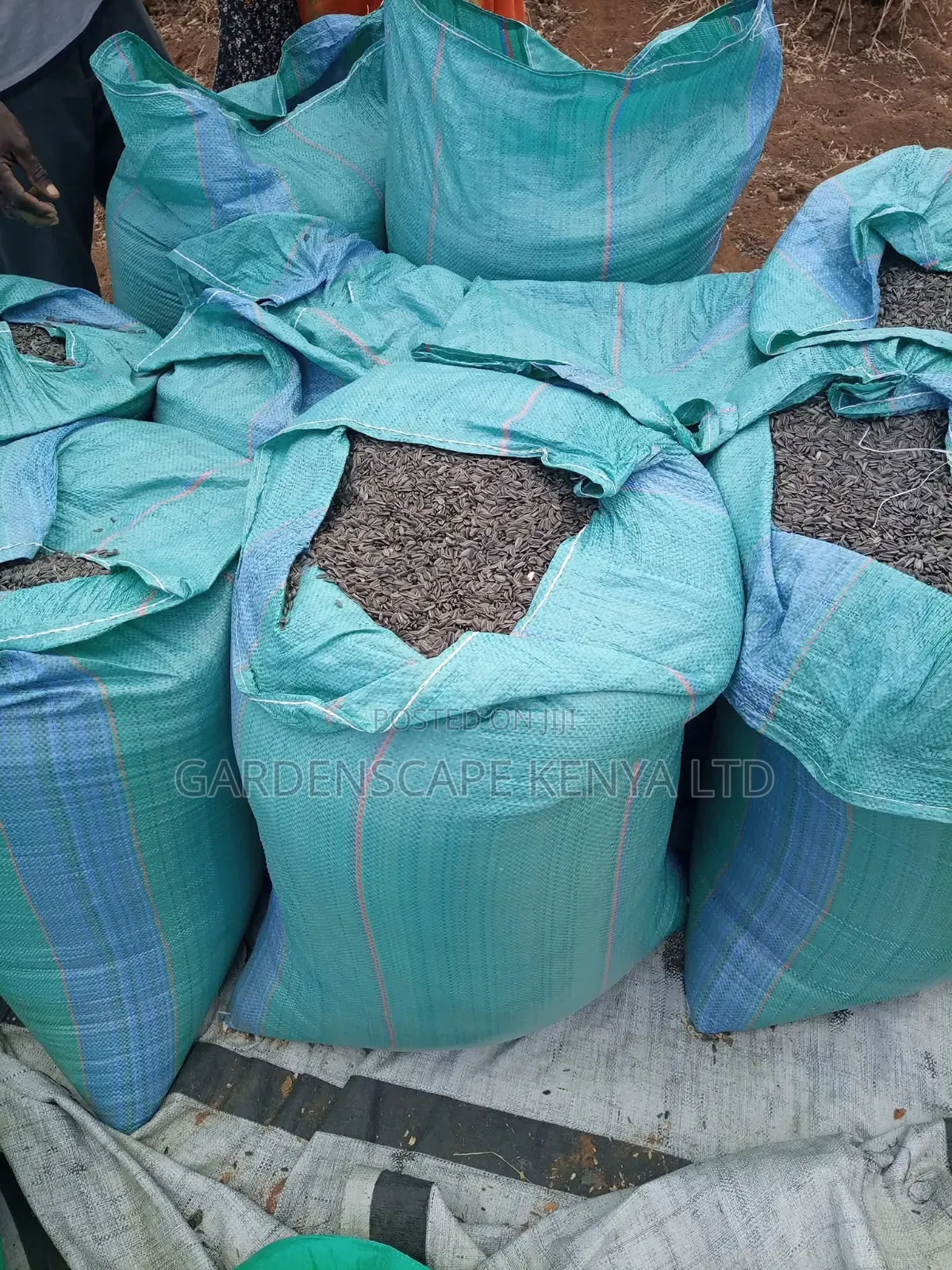 Oil Extraction Sunflower Seeds Per Ton.