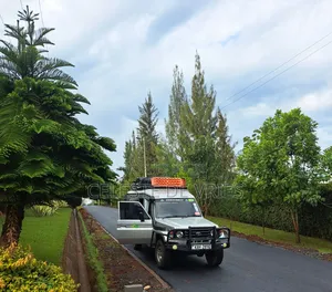 Toyota Land Cruiser 2006 Silver