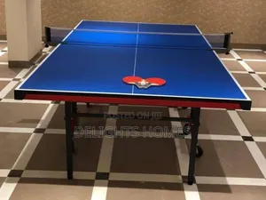 Foldable Indoor Table Tennis Table