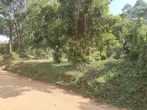 1/2acre Land/Plots for Sale in Kakamega