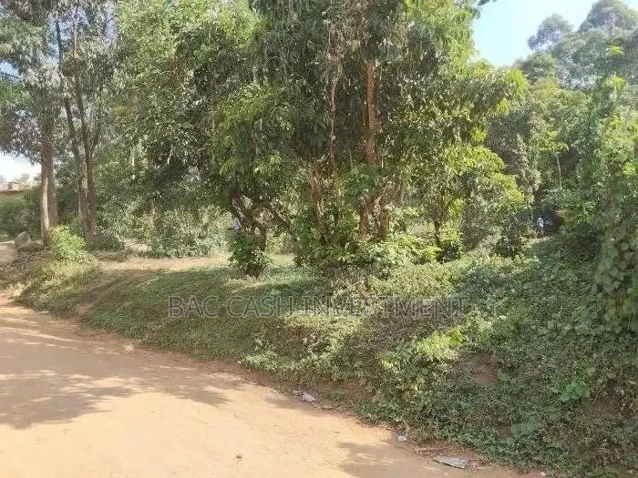 1/2acre Land/Plots for Sale in Kakamega