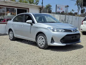 Toyota Axio 2019 Silver