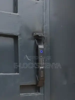 Smart Door|Smart Locks 3D Face Recognition Lock