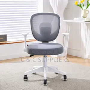 Modern Mesh Adjustable Kid's Chair.