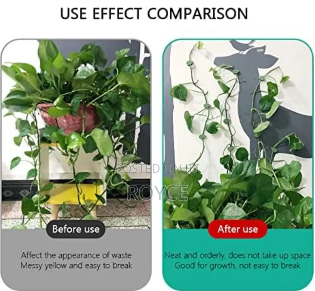 Climbing Plants Self Adhesive Clips - 10pcs