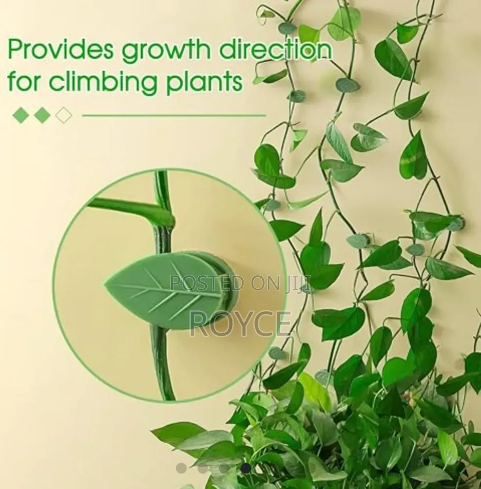 Climbing Plants Self Adhesive Clips - 10pcs