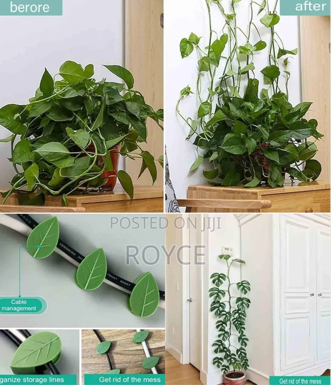 Climbing Plants Self Adhesive Clips - 10pcs