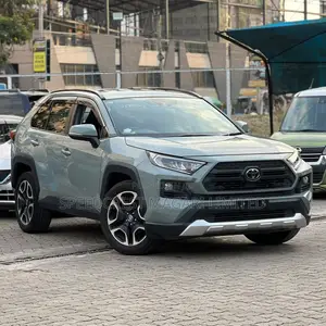 Toyota RAV4 2019 Gray