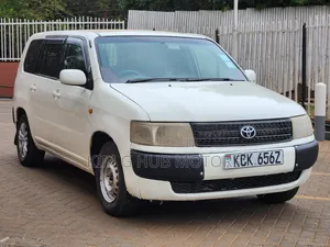 Toyota Probox 2010 Pearl