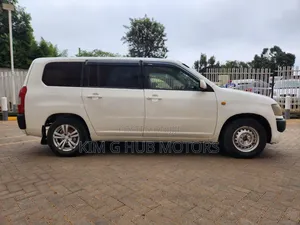 Toyota Probox 2010 Pearl