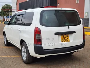Toyota Probox 2010 Pearl