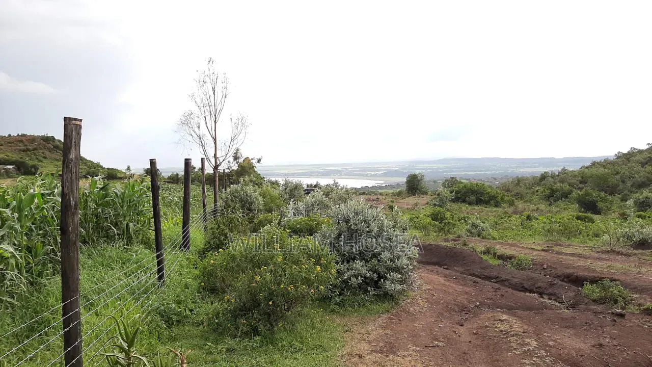 5 Acres Prime Land on Sale