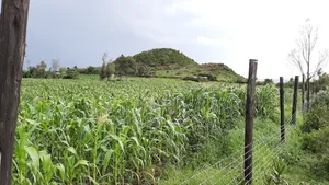 5 Acres Prime Land on Sale