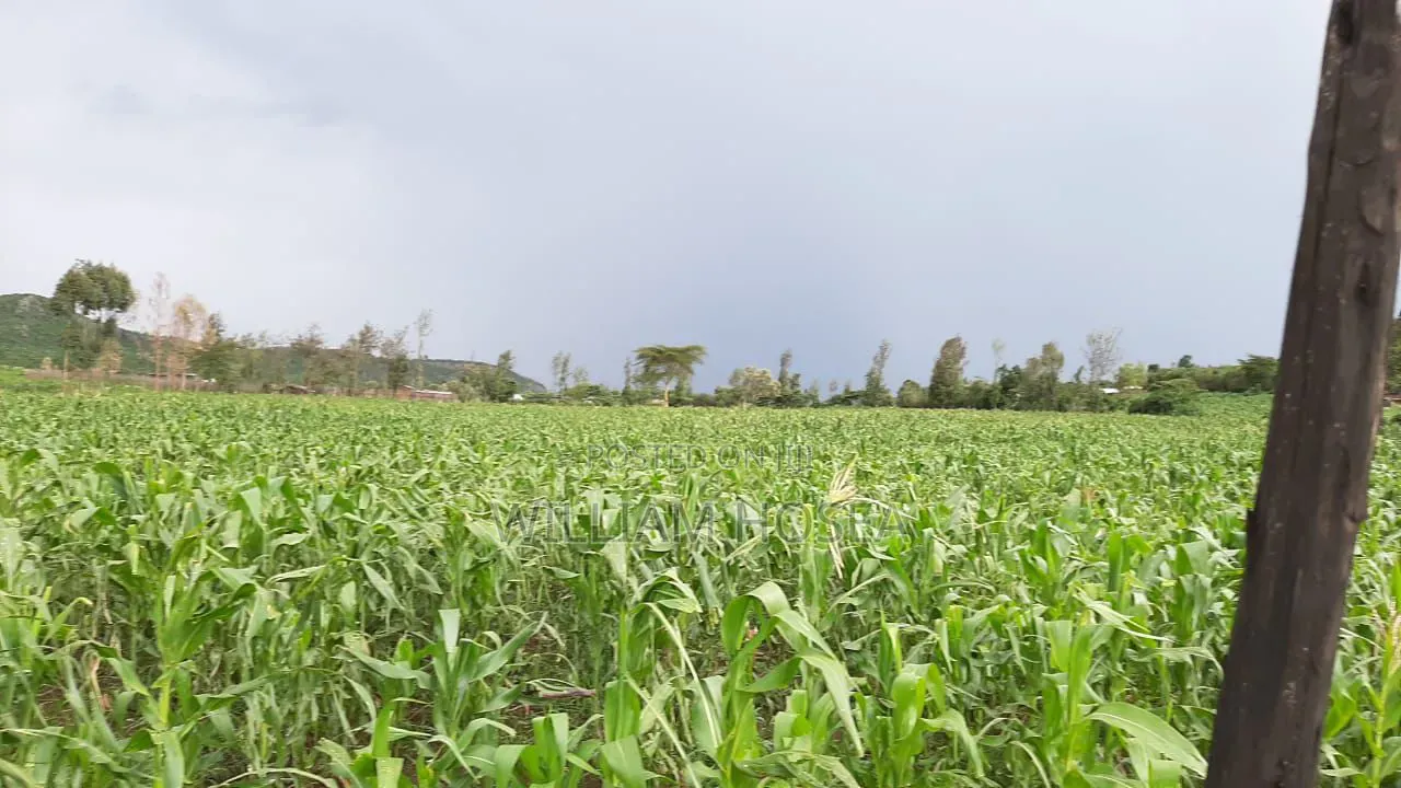 5 Acres Prime Land on Sale