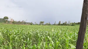 5 Acres Prime Land on Sale