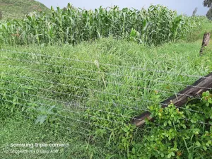 5 Acres Prime Land on Sale
