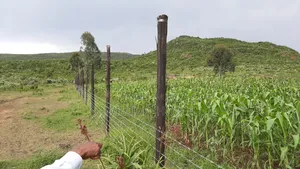 5 Acres Prime Land on Sale