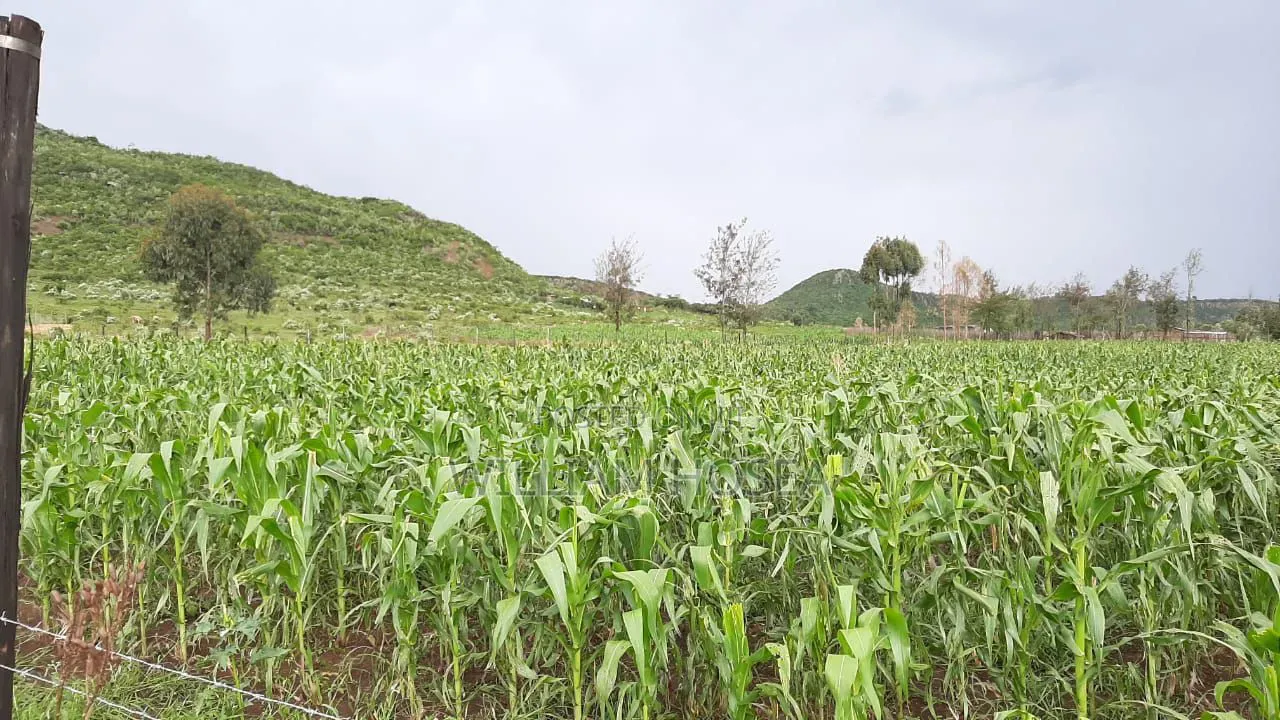 5 Acres Prime Land on Sale