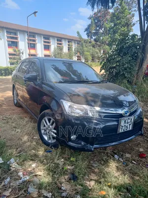 Toyota Corolla Fielder 2013 Black