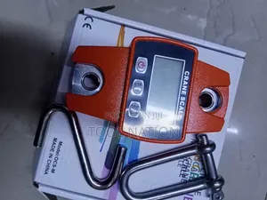 300kg Mini Crane Scale