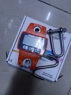 Mini Crane 300kg Scale
