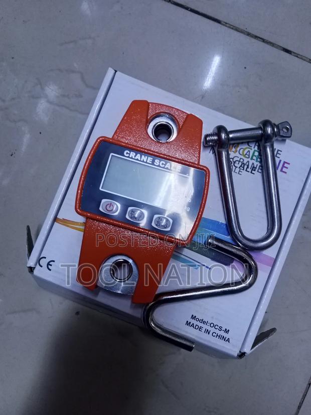 Mini Crane 300kg Scale - main view