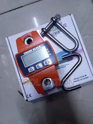 Mini Crane 300kg Scale