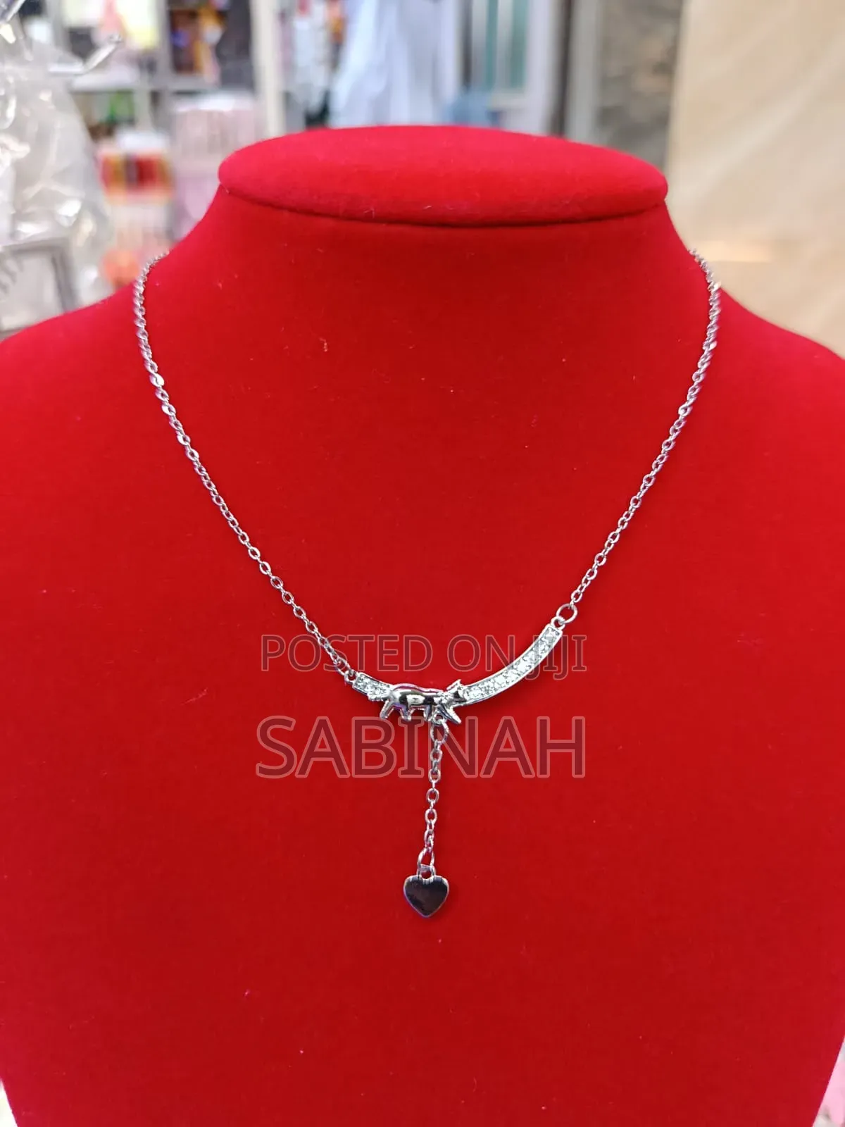Stainless Chains and Earrings