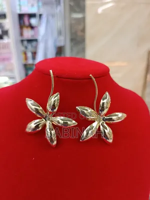 Chains and Earrings
